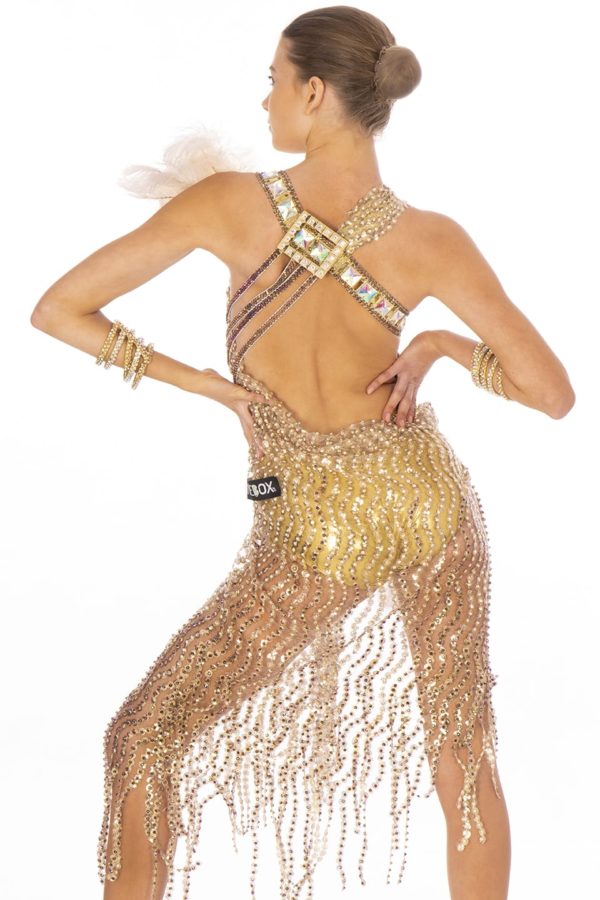 Gold feather Latin Dress <br/> HC20009