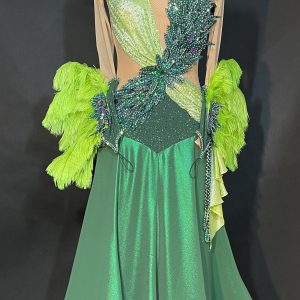 Forest Green  Ballroom Dress / HC20038